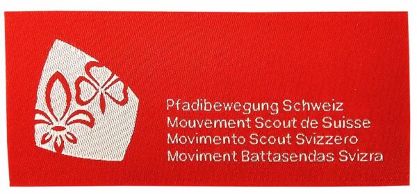 Abzeichen PBS