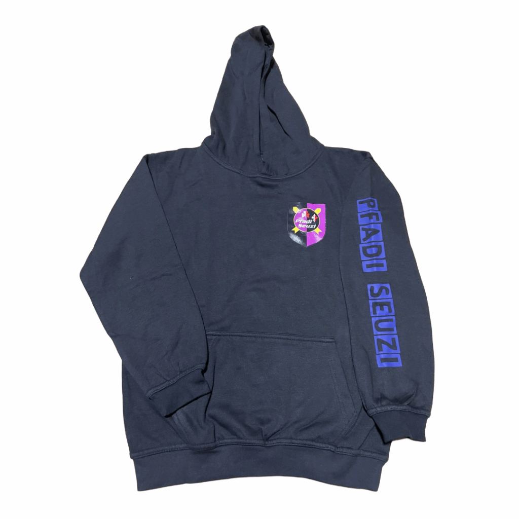 Pfadipulli alt